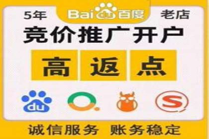 SEM托管代运营案例：打造高效营销体系